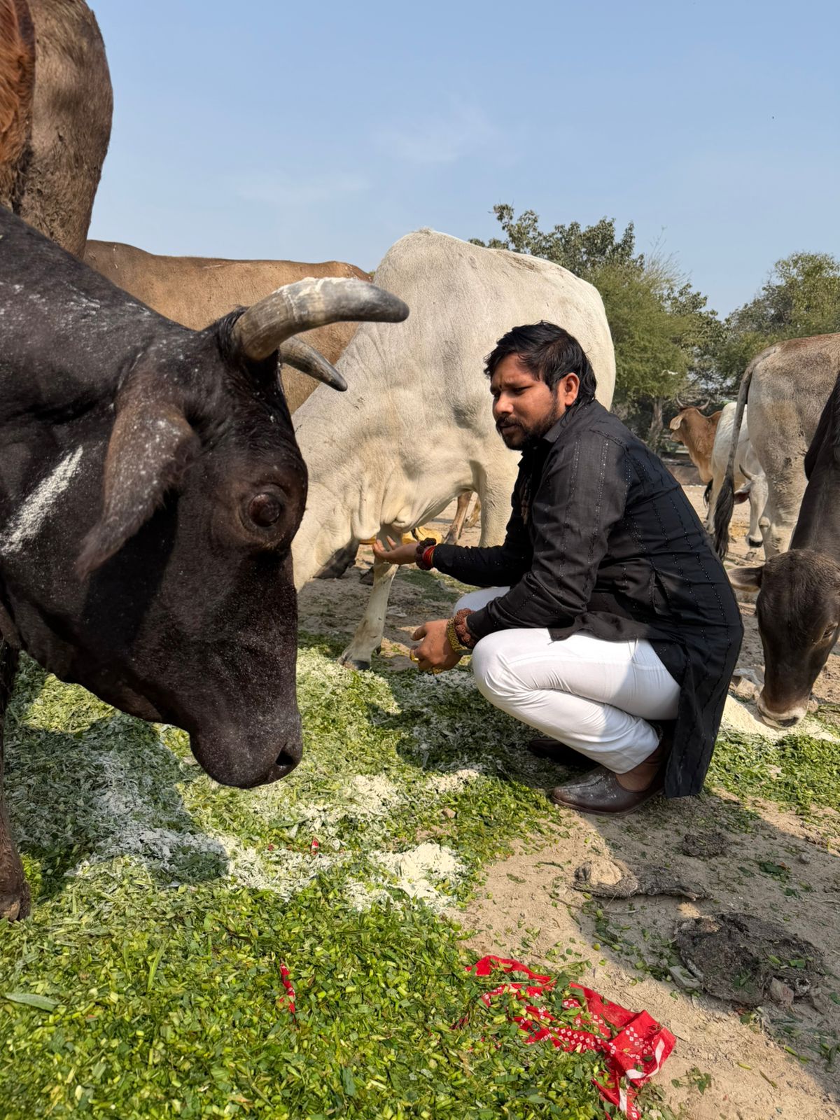 Maa Kali Darbar Charitable Trust Activity